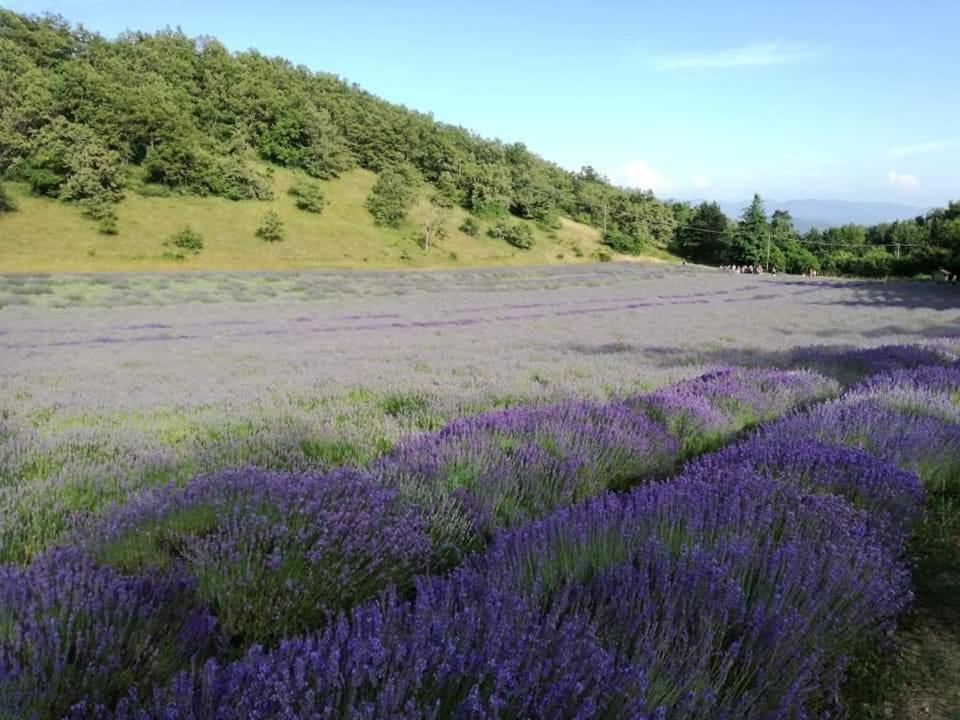 B&B I Girasoli Monte San Pietro ภายนอก รูปภาพ